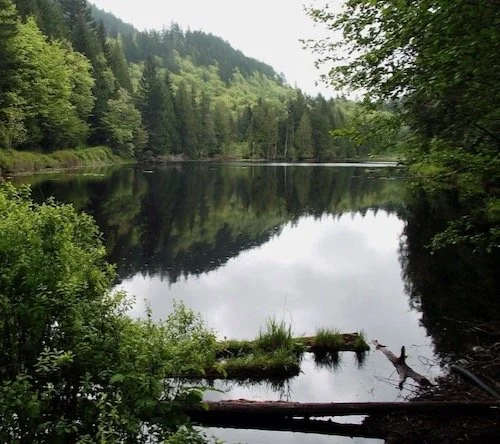 Alger Alp via Squires Lake - Level 2