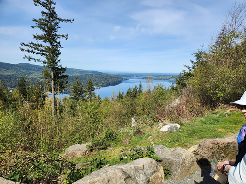 Chanterelle Trail - Level 3