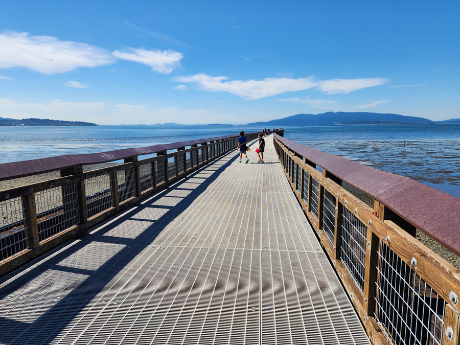 Squalicum Creek Park to the New Pier - Level 4 Party in Ferndale