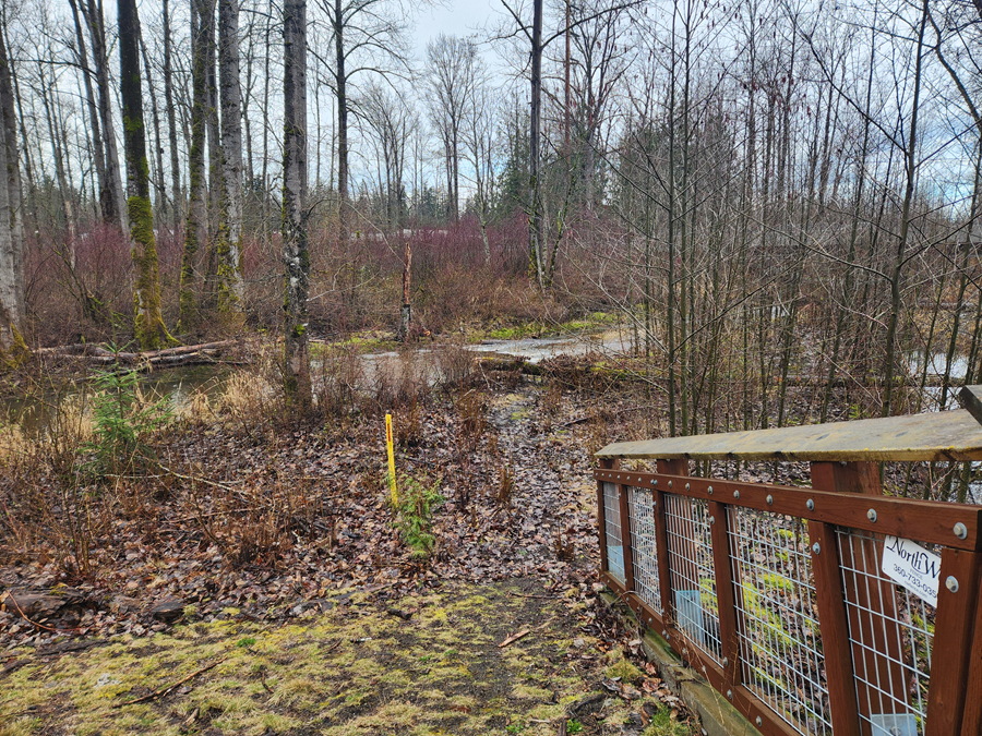 BSAC North to Irongate - Level 3 Party in Ferndale