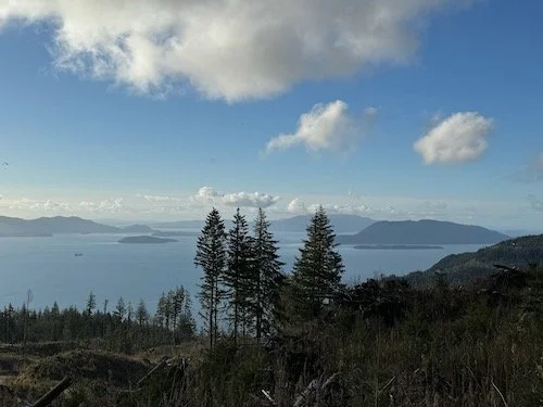 Burnout from Lost Lake TH-Level 2