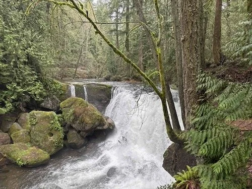 Whatcom Falls from Civic Field-Level 4