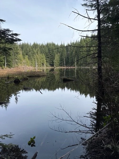 Lily and Lizard Lakes from Upper TH-Level 2