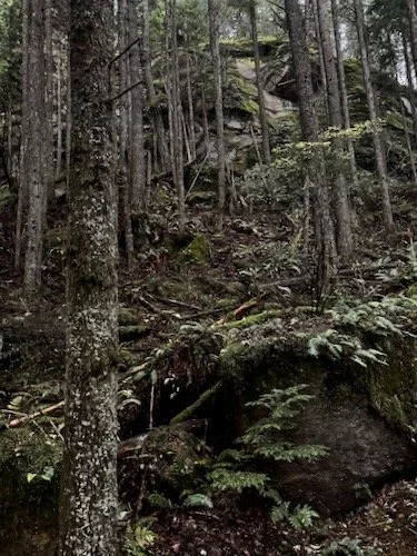 Chuckanut Ridge from North Chuckanut TH-Level 1
