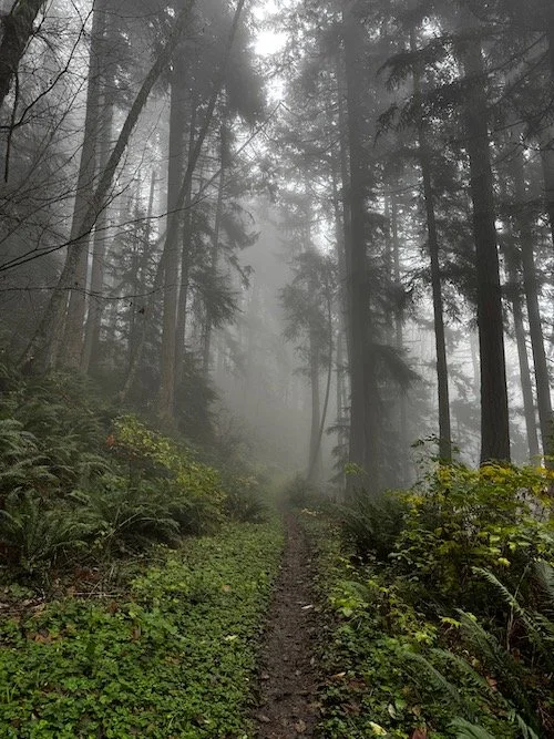 Rock Trail from Lost Lake TH-Level 1