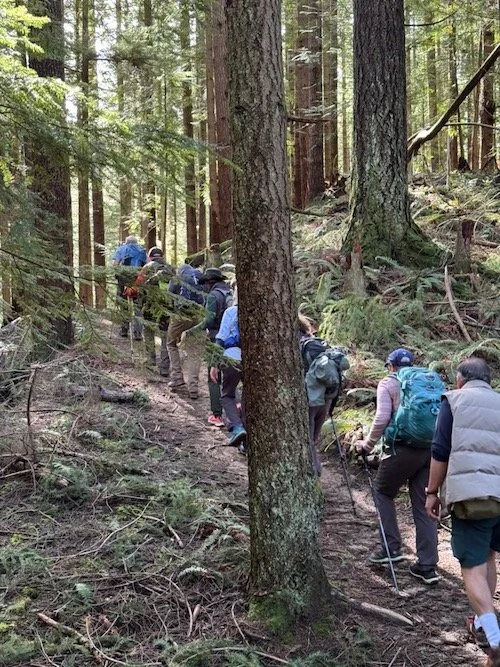 Lookout Mountain Preserve Short Route-Level 3