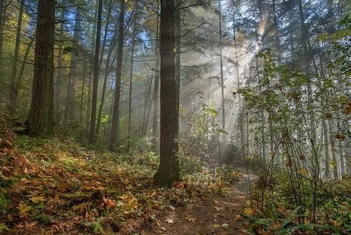 Little Mountain Long Route-Level 2