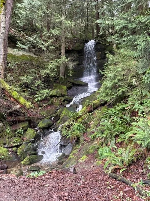 Chuckanut Falls from Fairhaven Park-Level 4
