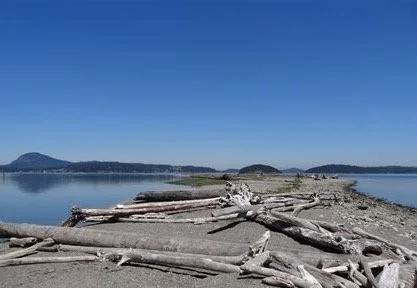 Hoypus Hill/Ala Spit-Level 2