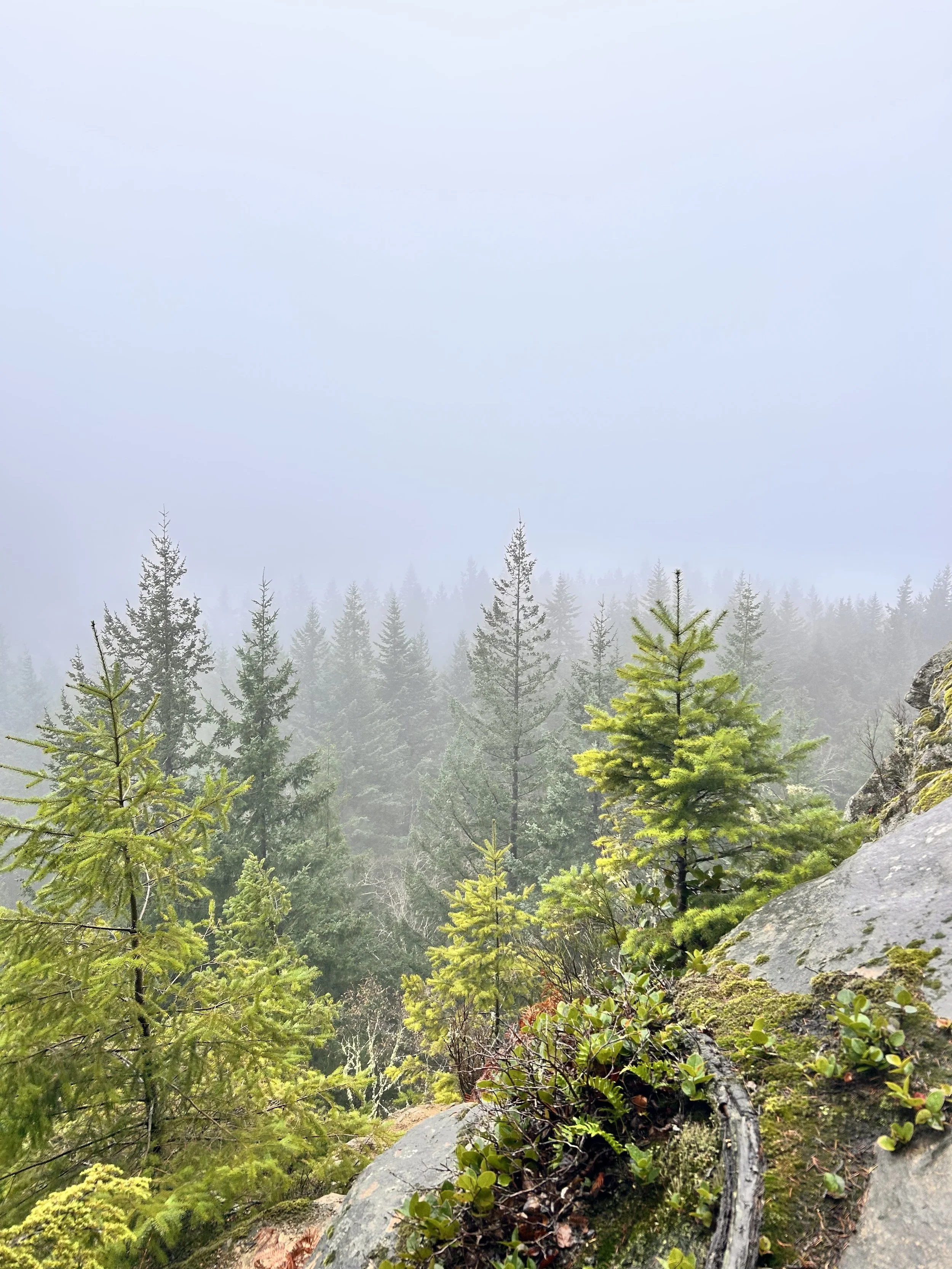 Raptor Ridge via Huckleberry return North Lost Lake & Lower Salal Trail-Level 1