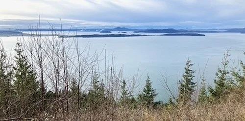 Olsen Creek to First Overlook-Level 3