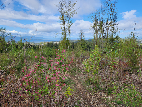 Samish Crest Lake Padden-Level 2