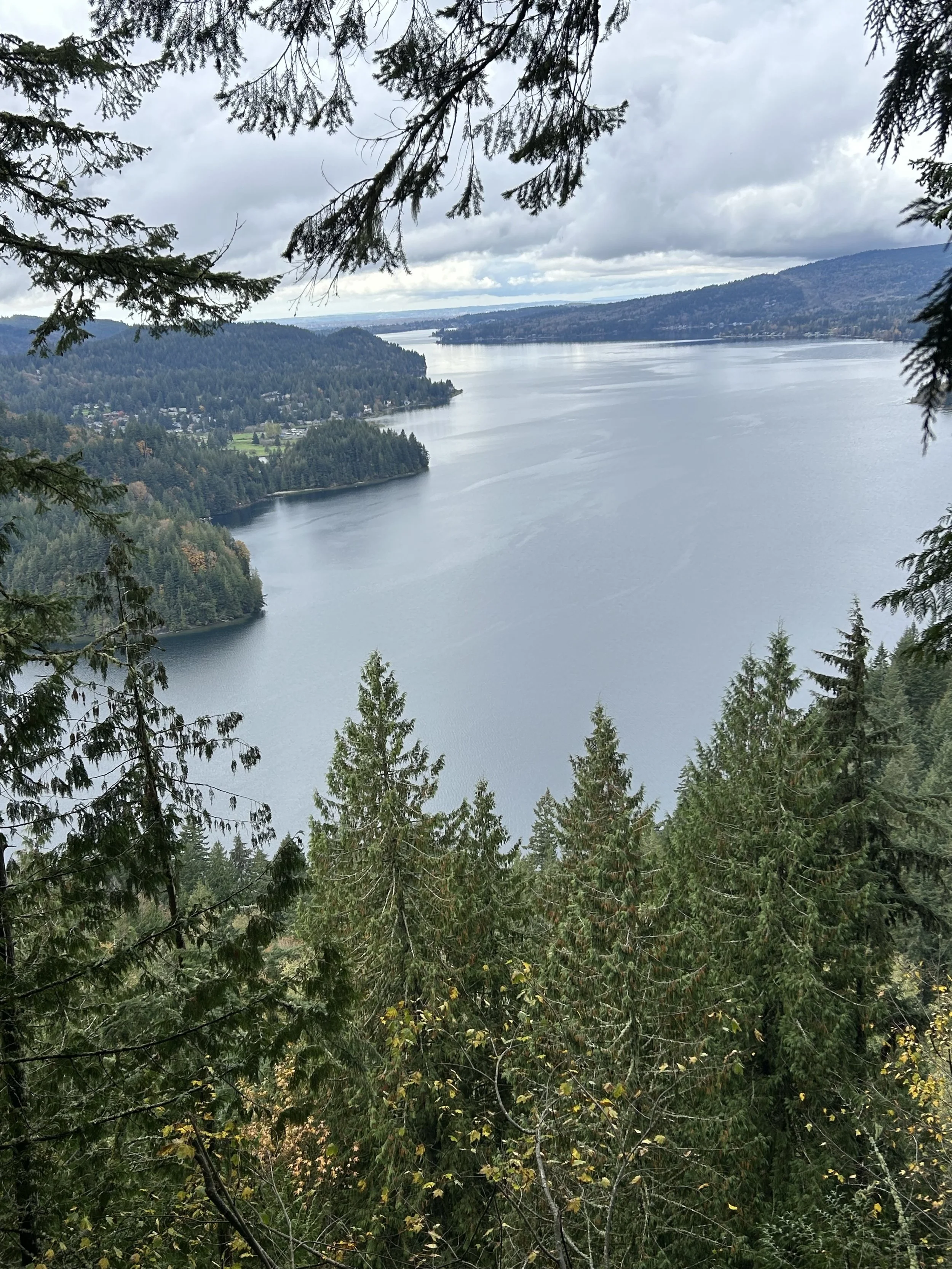 Chanterelle Loop (clockwise)-Level 2