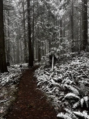Blanchard Mt Trail Loop-Level 1