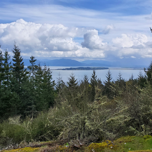 Guemes Island plus Mountain (Ferry)-Level 3