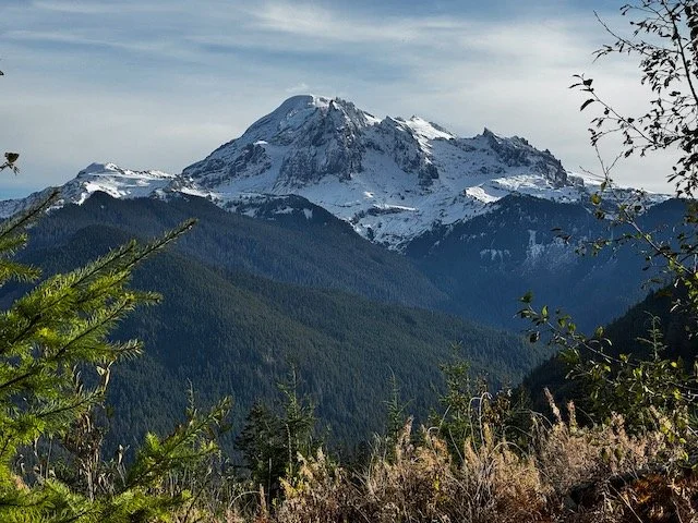 Dailey Prairie from Middle Fork Bridge-Level 1.5
