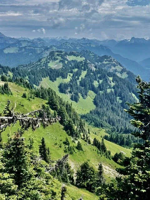 Church Mt Lookout-Level 1