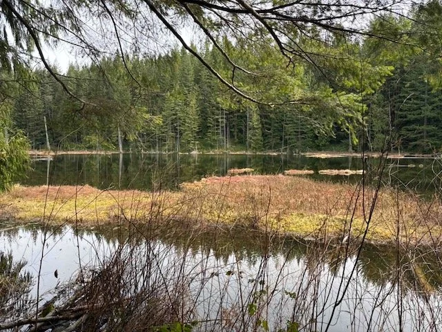 North Butte Lily and Lizard Lakes-Level 1.5