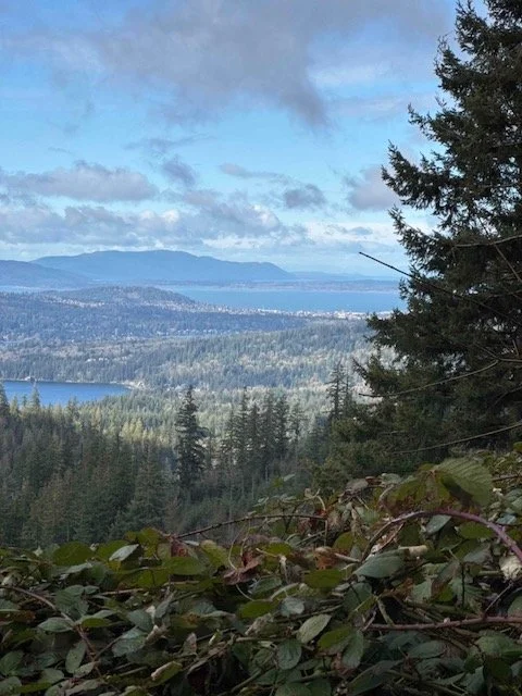 Olsen Creek-Level 1.5