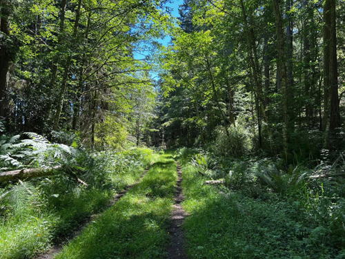 Hoypus Hill/Ala Spit - Level 3