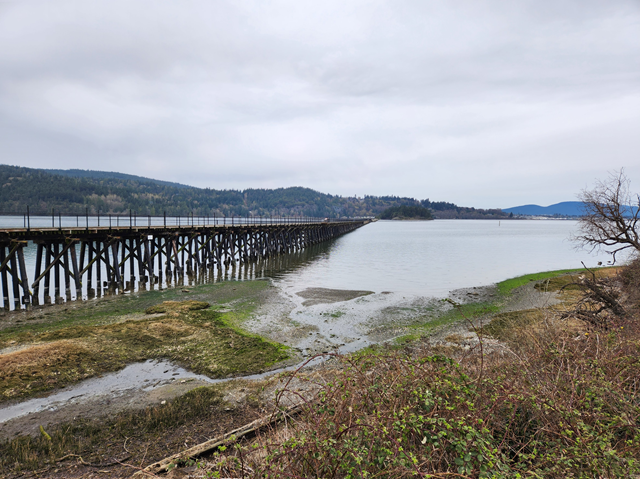 Tommy Thompson - Level 4