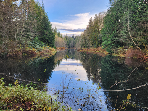 Stimpson Preserve - Level 4