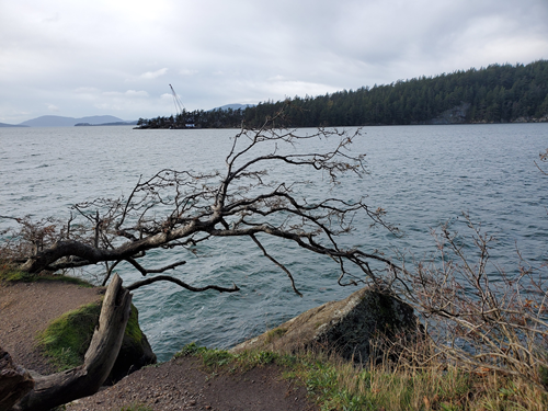 Teddy Bear Cove from Fairhaven Park - Level 3 