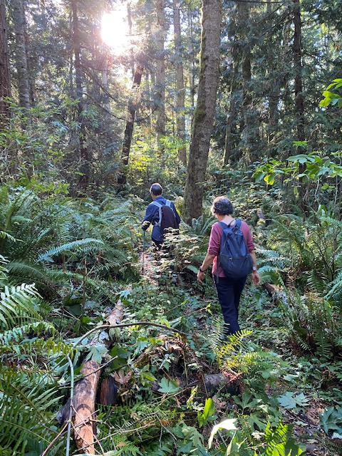 Agate Bay Preserve - Level 3