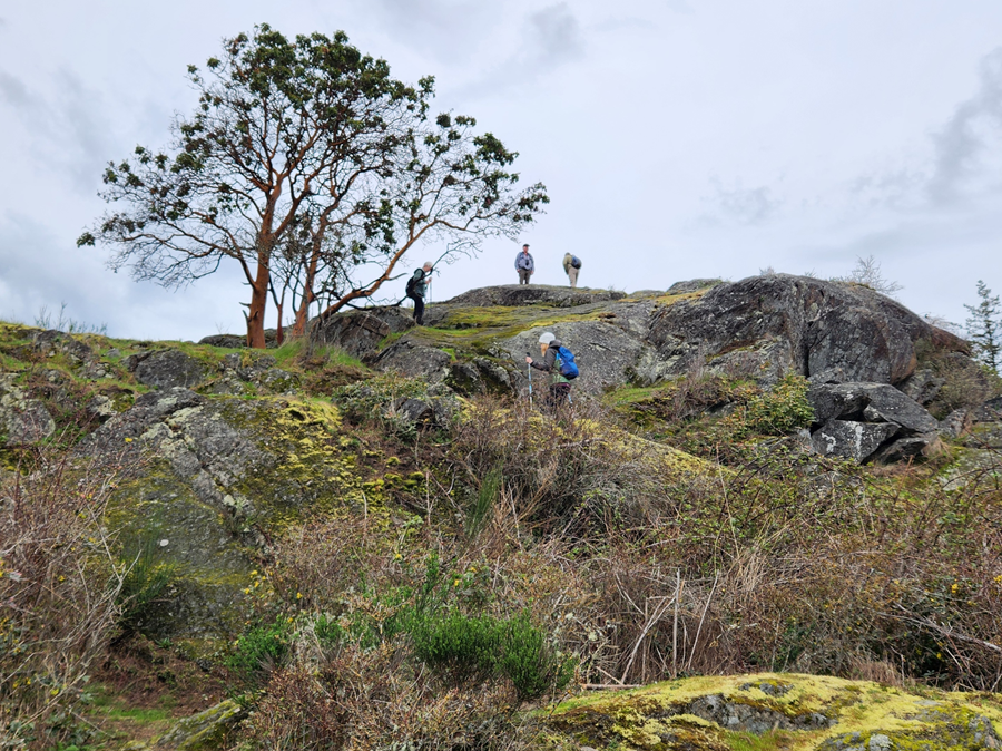 Cap Sante and Marina - Level 4