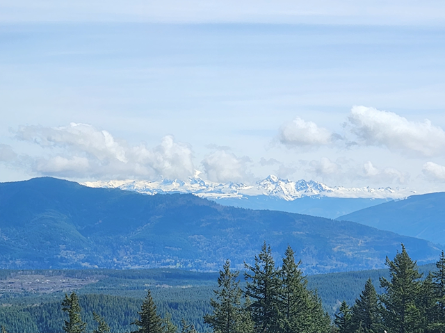 Burnout from Two Dollar Trailhead - Level 2