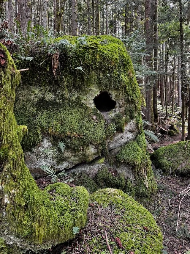 N Chuckanut to Pine/Cedar Lakes-Level 1