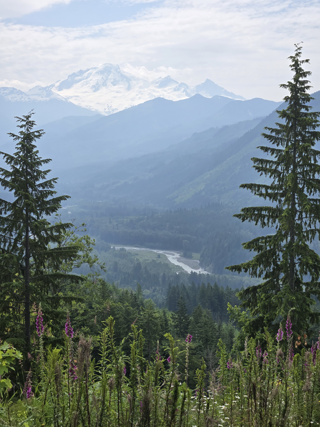 Black Mountain Knob from Maple Falls Park - Level 2