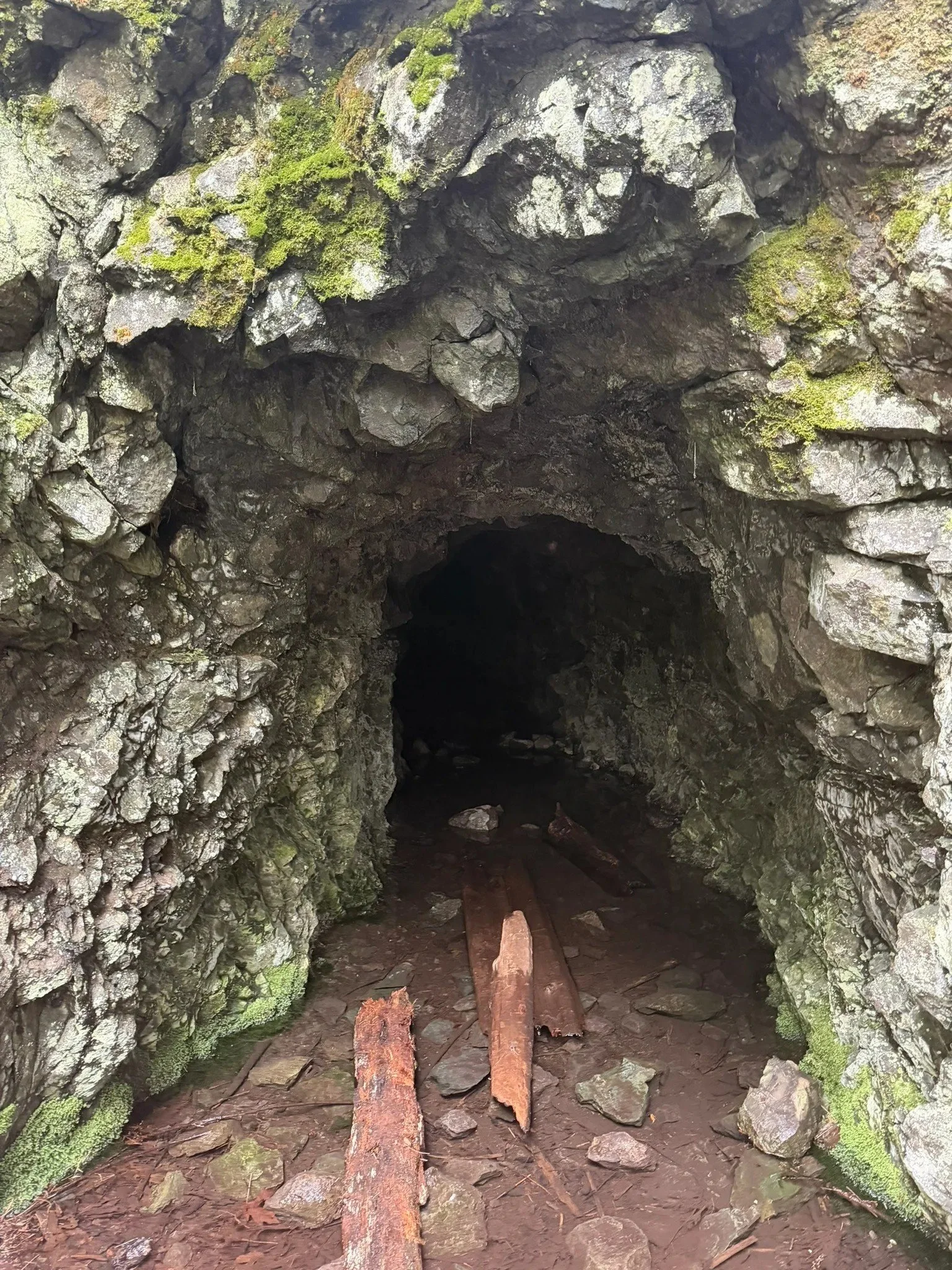 John Tursi Trail from Pass Lake TH- Level 3