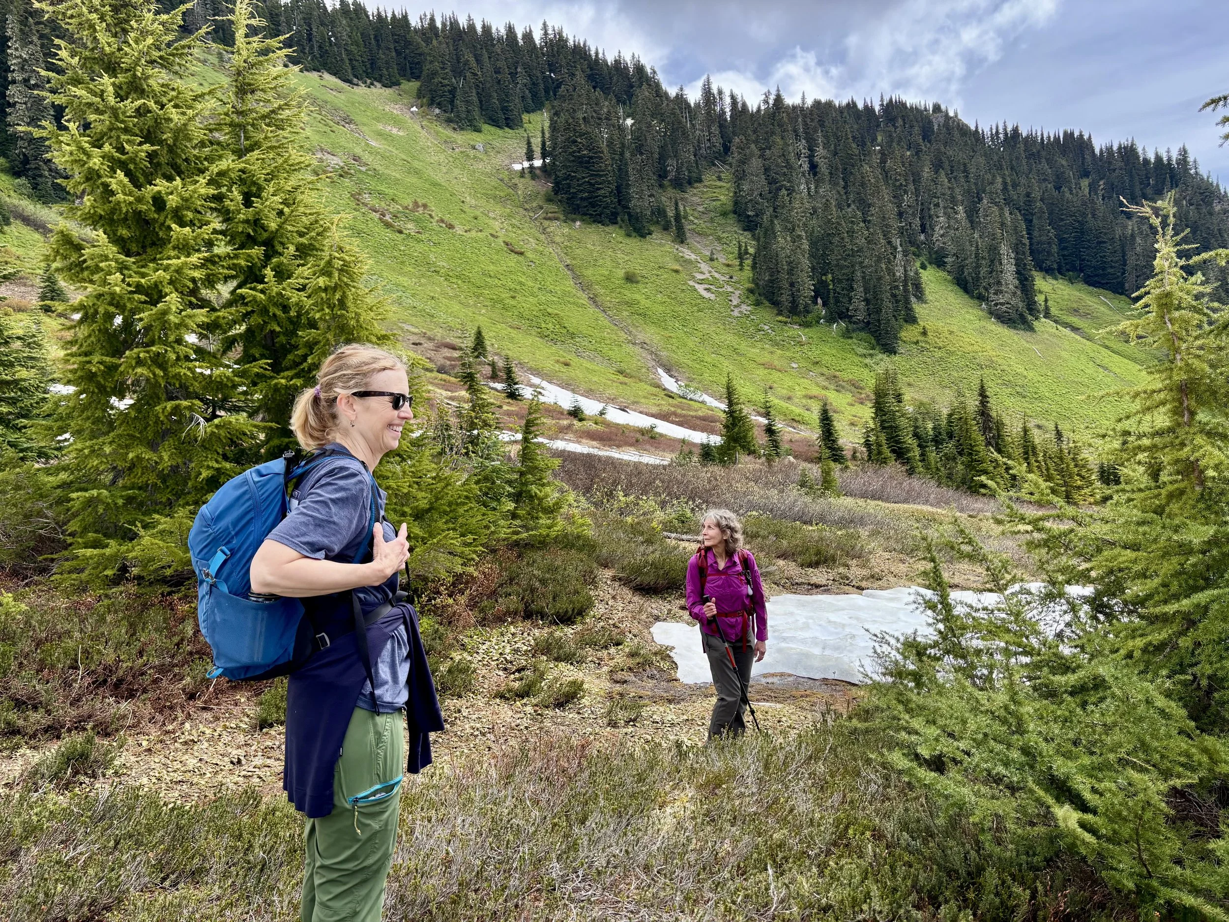 Church Mountain Meadows Level 2