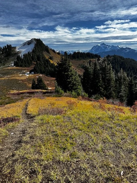 Excelsior Pass from Damfino-Level 2