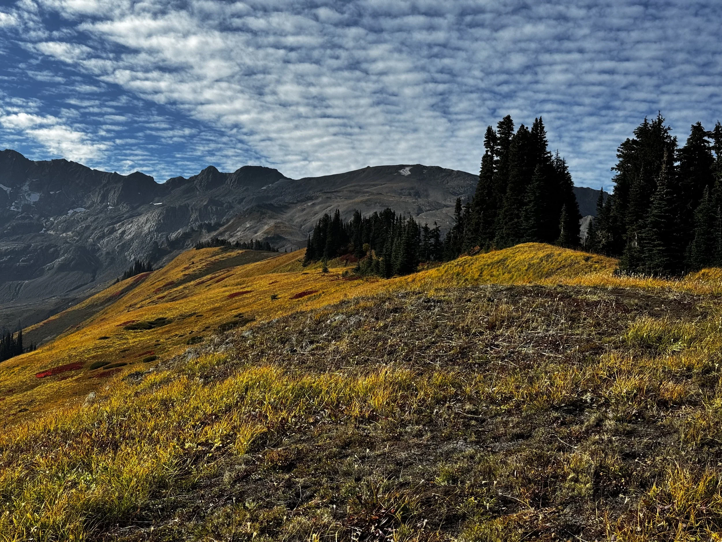 Cougar Divide to Chowder Ridge-Level 1