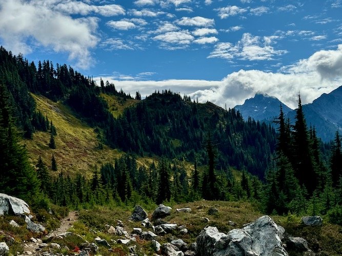 Yellow Aster Butte-Level 1.5