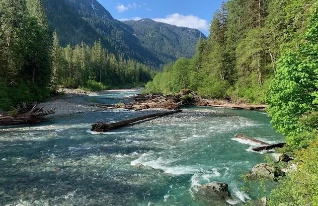 Noisy Creek from Baker River-Level 1.5