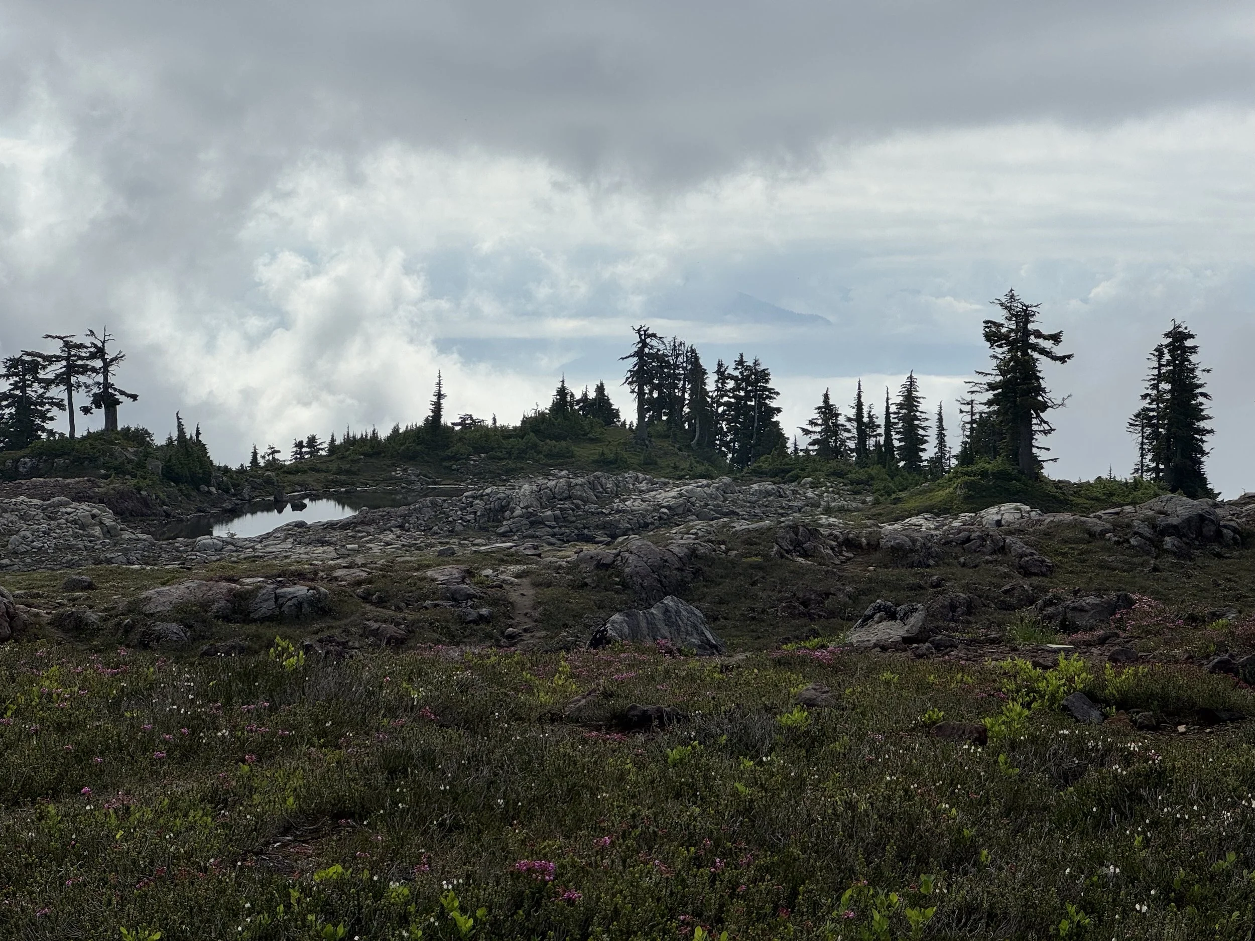 Park Butte Trail-Level 2