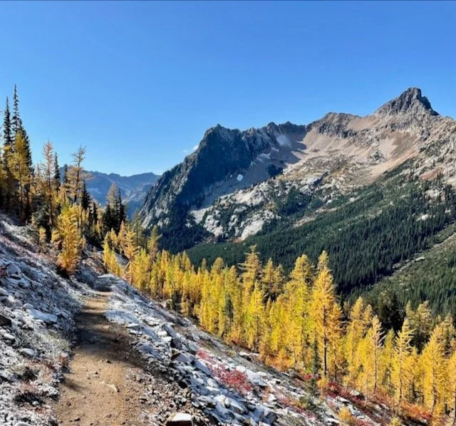 Cutthroat Pass from Rainy Pass-Level 1