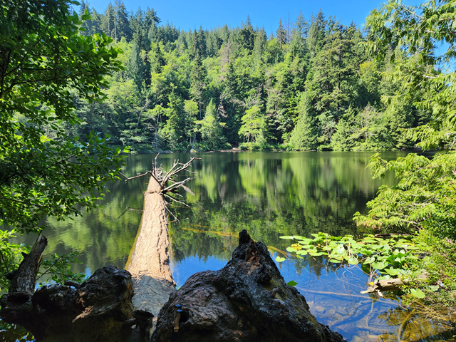 Fragrance Lake via $2 TH - Level 3