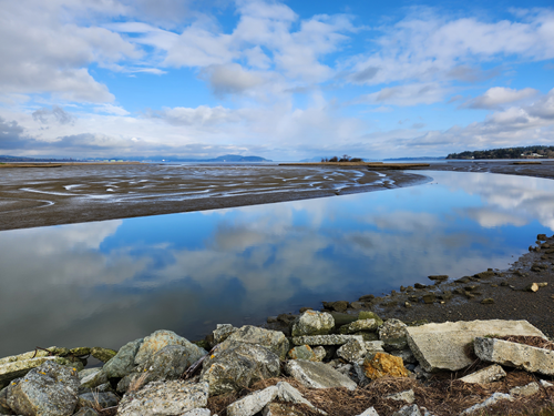 Padilla Bay Dike - Level 4