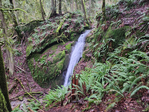 Chuckanut Falls from Fairhaven Park - Level 4