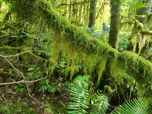 Rockport and Rasar State Parks - Level 3