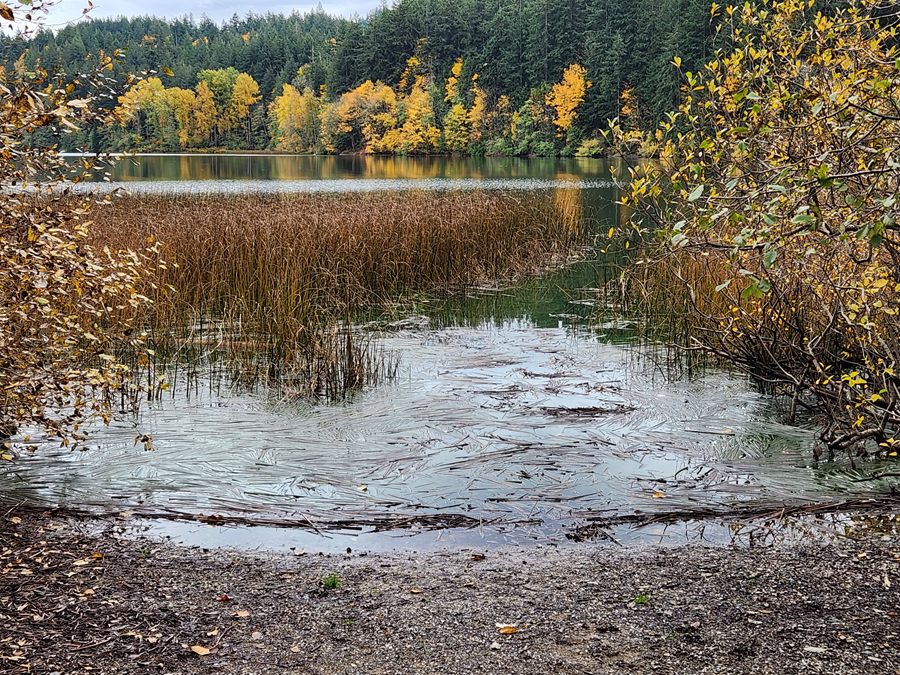 Lake Padden Highlands and Lake Loop - Level 3