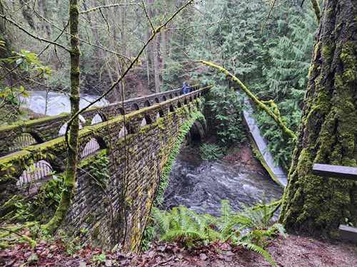 Whatcom Falls Park from Civic Field - Level 4