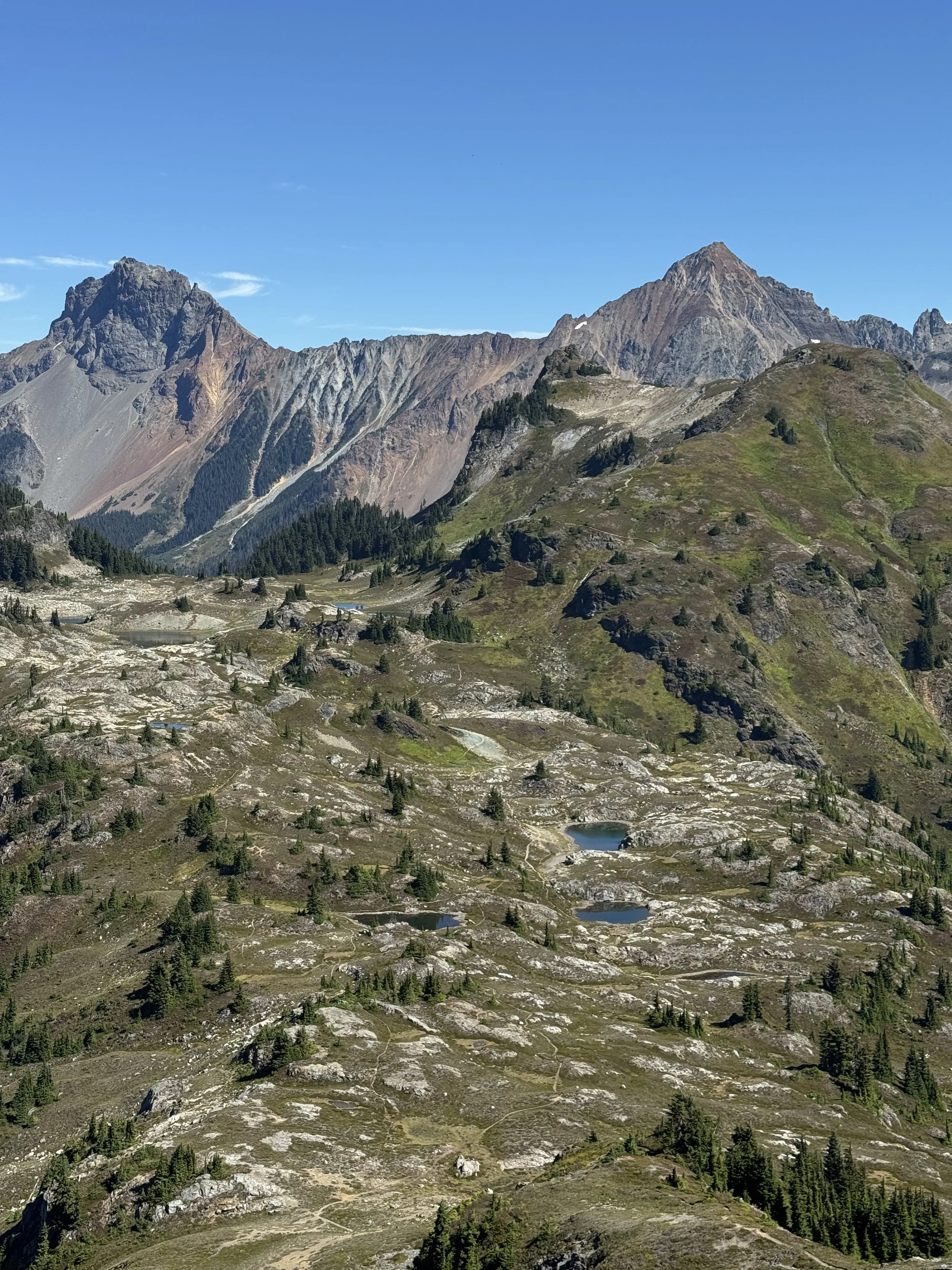 Yellow Aster Butte-Level 1