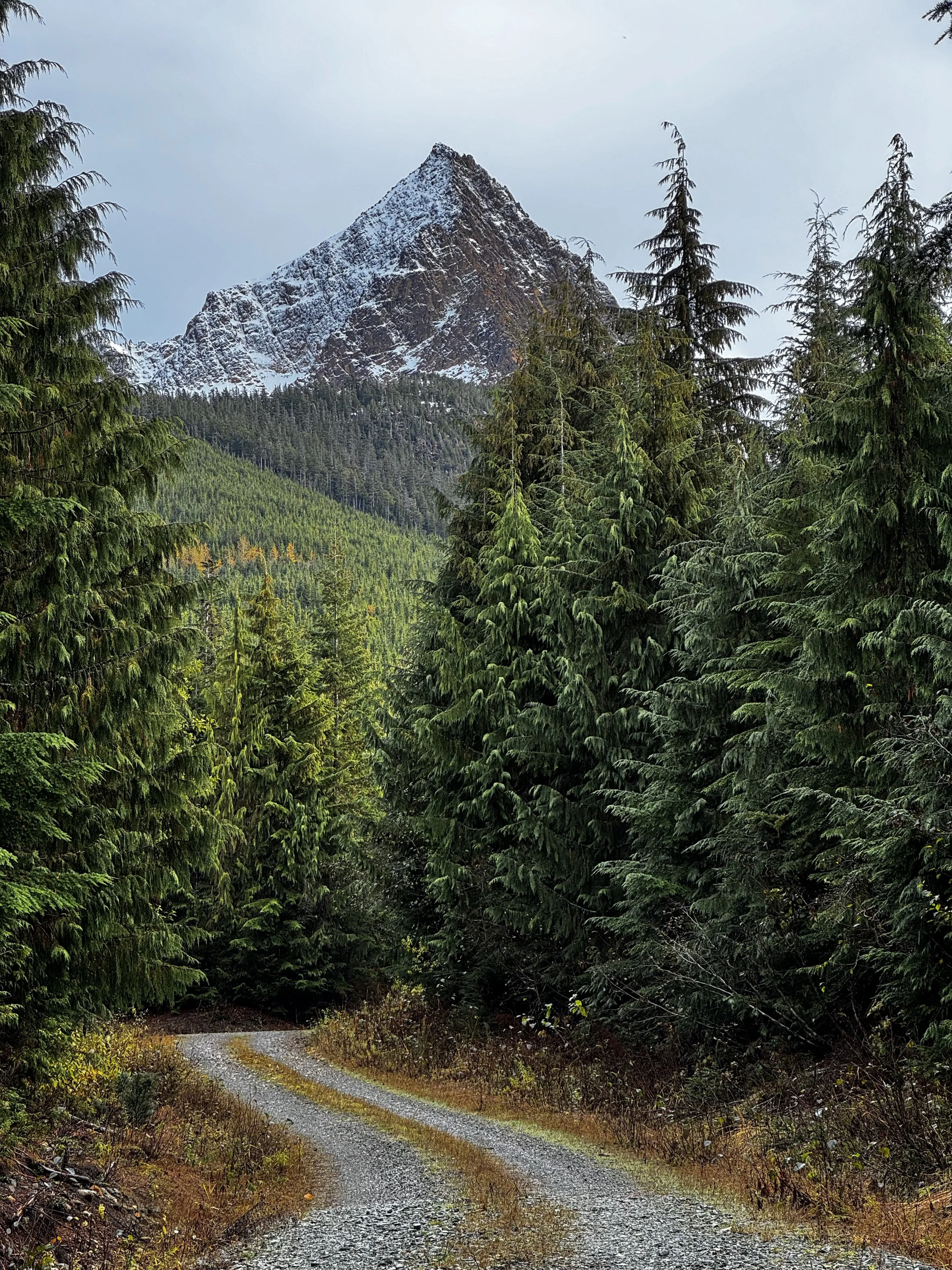 Dailey Prairie/Climber’s camp from Middle Fork Rd-Level 1