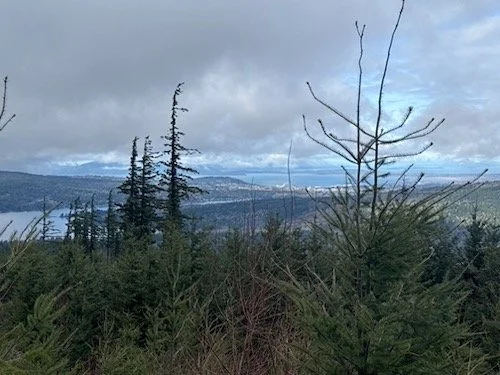 Olsen Creek-Level 2