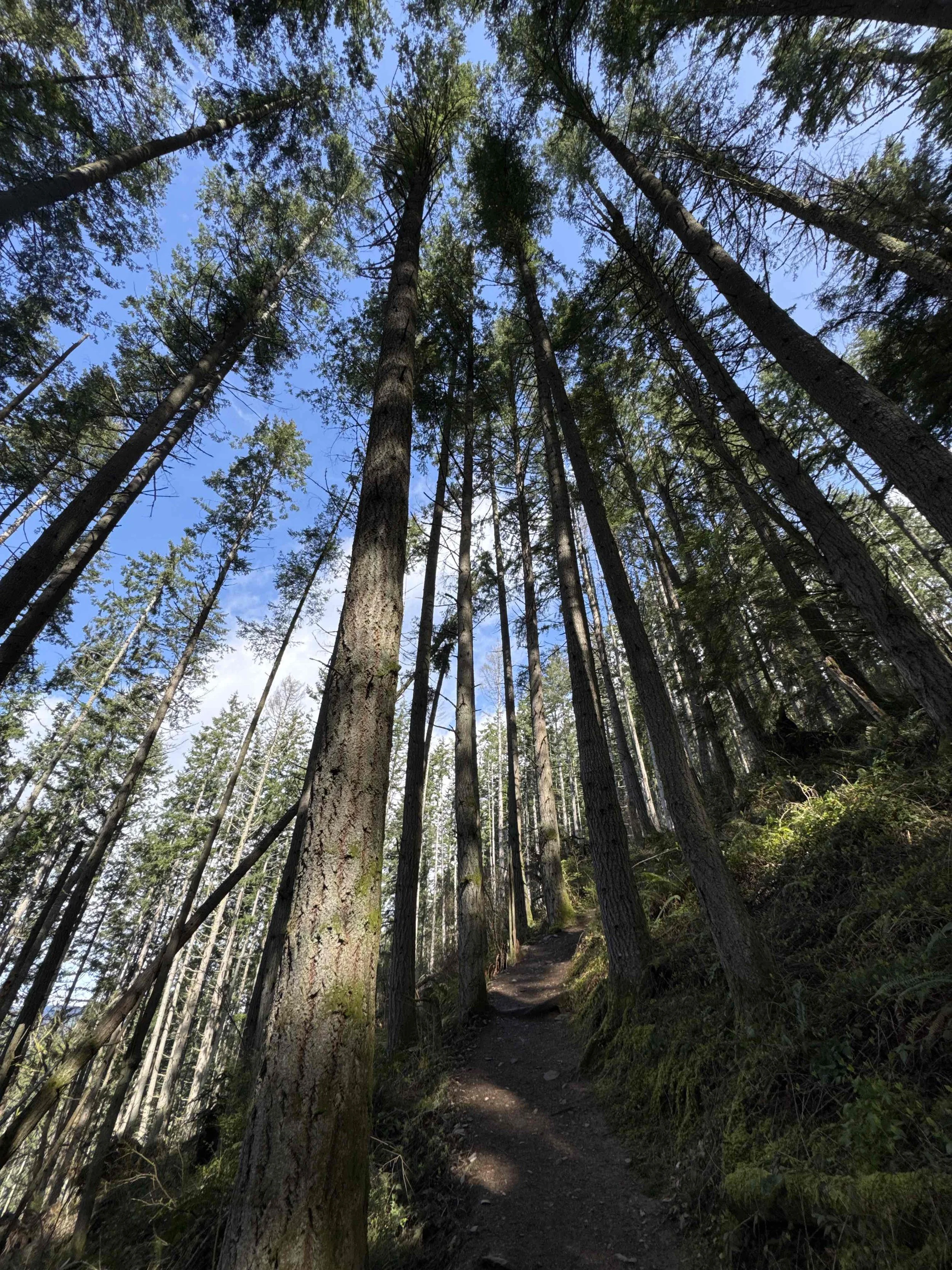 Oyster Dome Loop from Chuckanut Dr-Level 1.5
